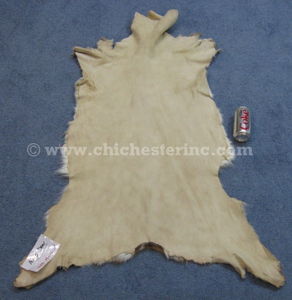 Axis Deer Skins Hides Pelts Furs or Chital Deer or Spotted Deer or