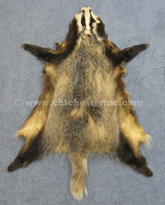 Badger Skins and Badger Hides and Badger Pelts