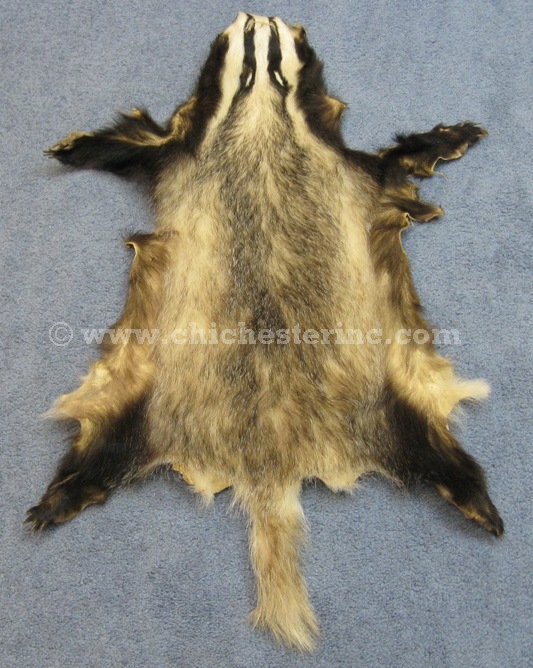 Badger Skins and Badger Hides and Badger Pelts