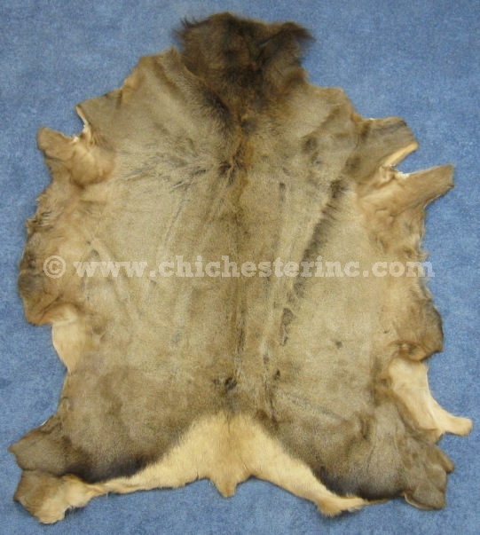 Elk Skins or Elk Hides or Elk Fur or Elk Pelt