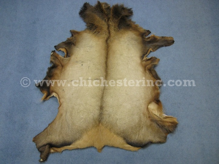 Elk Skins or Elk Hides or Elk Fur or Elk Pelt