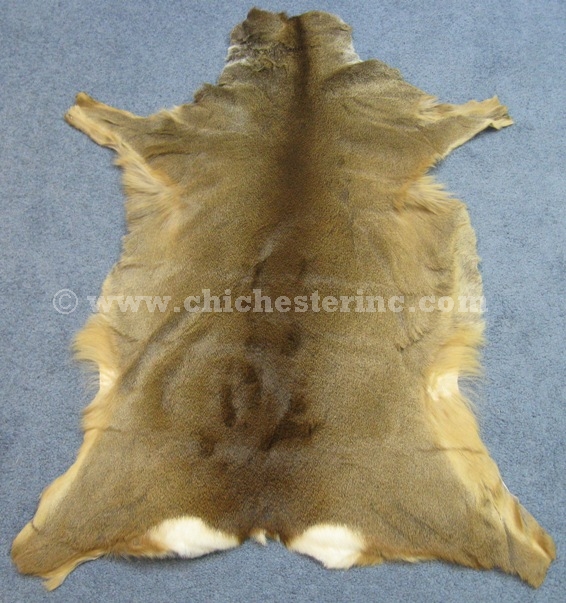 Roe Deer Skins from Hungary or Pelt or Hide or Fur