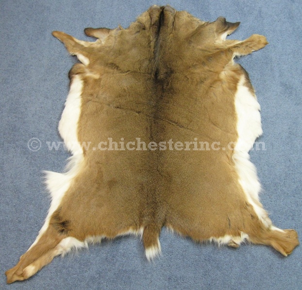 White Tail Deer Hides, White Tail Deer Skins, Whitetail Deer Hides