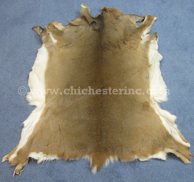 White Tail Deer Hides, White Tail Deer Skins, Whitetail Deer Hides