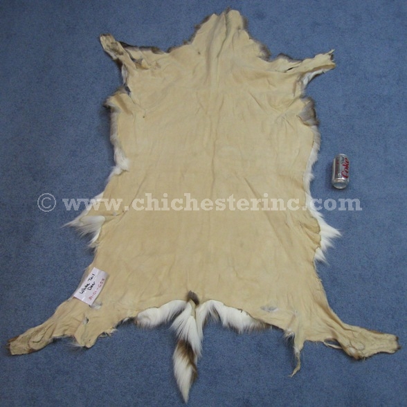 White Tail Deer Hides, White Tail Deer Skins, Whitetail Deer Hides