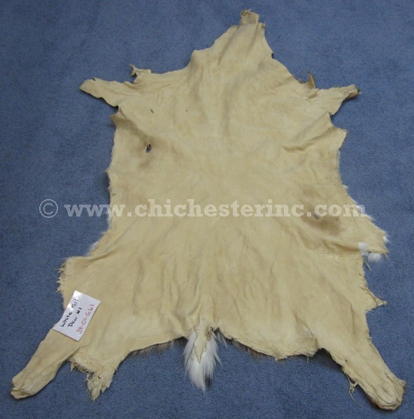 White Tail Deer Hides, White Tail Deer Skins, Whitetail Deer Hides