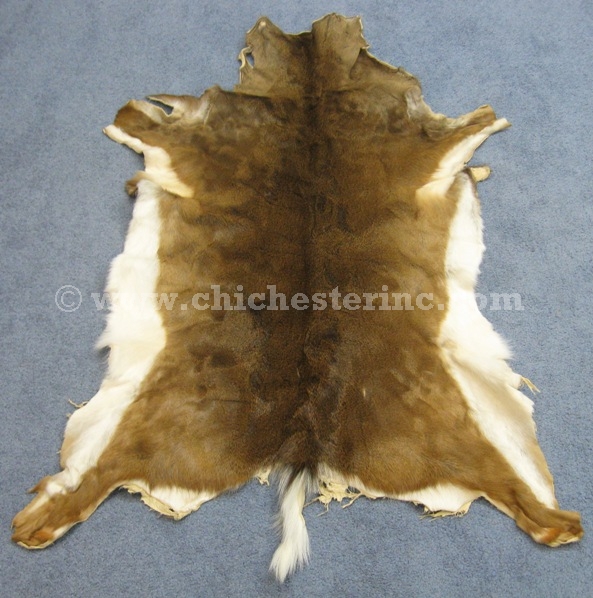 White Tail Deer Hides, White Tail Deer Skins, Whitetail Deer Hides