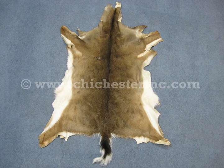 White Tail Deer Hides, White Tail Deer Skins, Whitetail Deer Hides