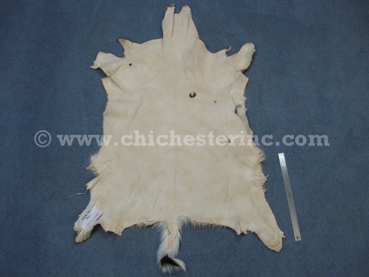 White Tail Deer Hides, White Tail Deer Skins, Whitetail Deer Hides