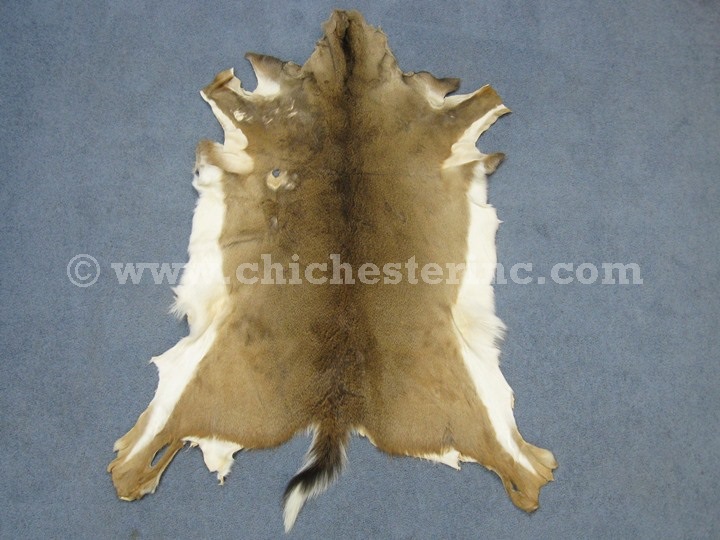 White Tail Deer Hides, White Tail Deer Skins, Whitetail Deer Hides