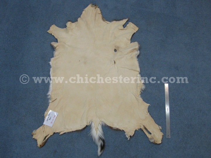 White Tail Deer Hides, White Tail Deer Skins, Whitetail Deer Hides