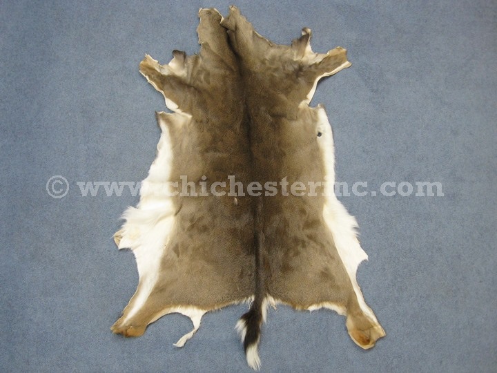 White Tail Deer Hides, White Tail Deer Skins, Whitetail Deer Hides