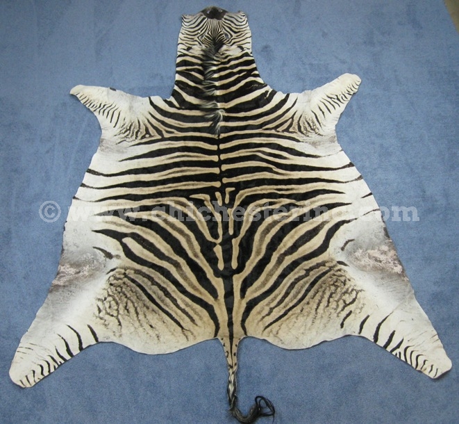 African Zebra Skins, Zebra Skins, Zebra Hides, Zebra Rugs