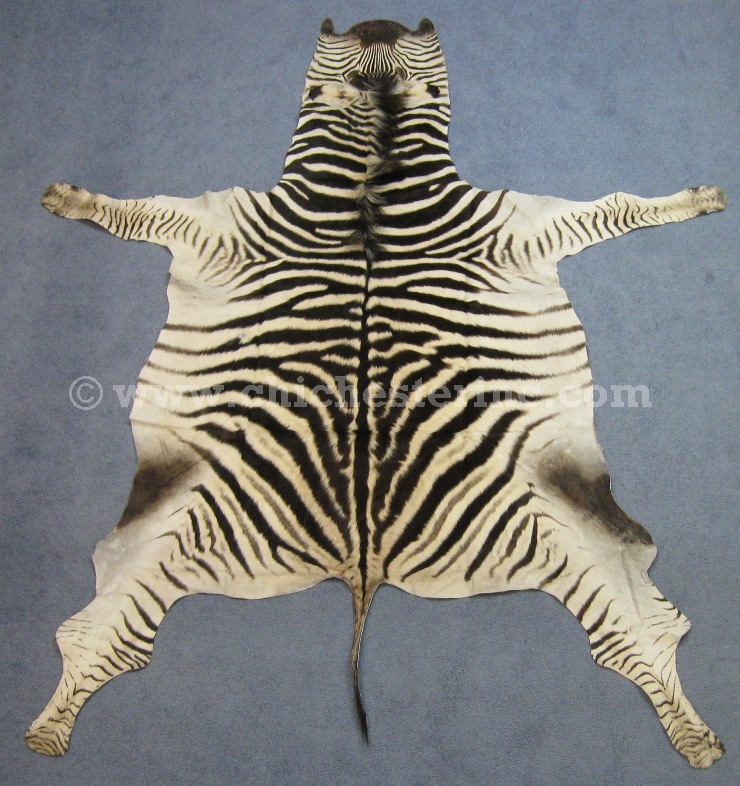 African Zebra Skins, Zebra Skins, Zebra Hides, Zebra Rugs