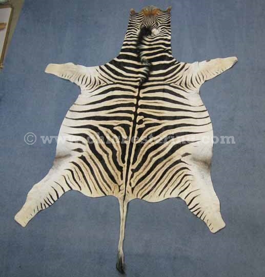 African Zebra Skins, Zebra Skins, Zebra Hides, Zebra Rugs