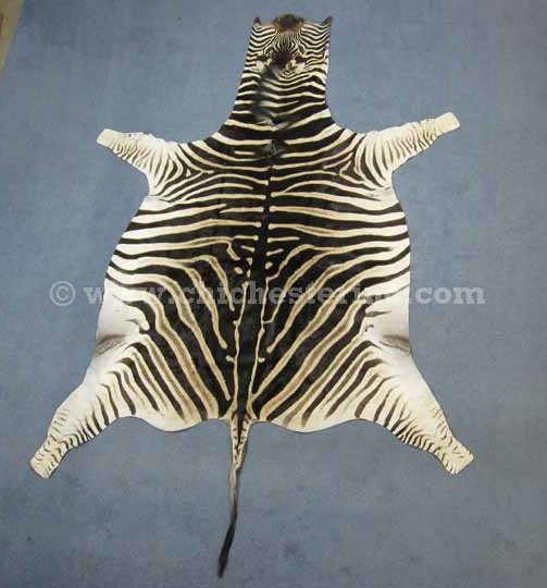 African Zebra Skins, Zebra Skins, Zebra Hides, Zebra Rugs
