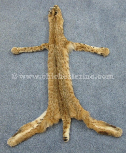Bobcat Skins and Bobcat Hides and Bobcat Pelts and Bobcat Furs