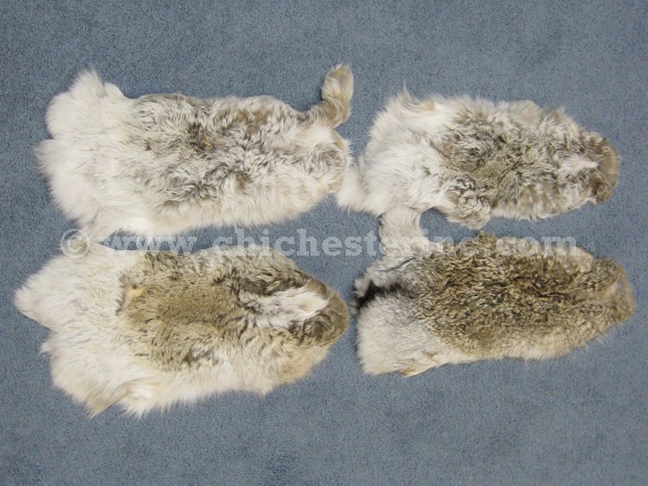 Snowshoe Hare Skins