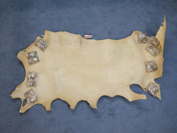 Rawhide and Cow Rawhide Double Backs and Cow Parchment and Cow Vellum