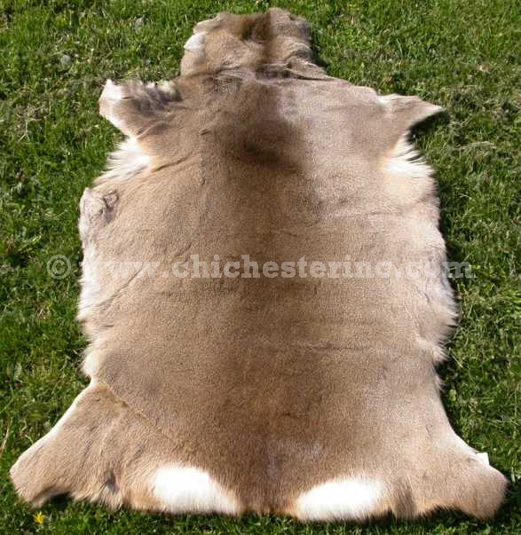 Roe Deer Skins from Hungary or Pelt or Hide or Fur