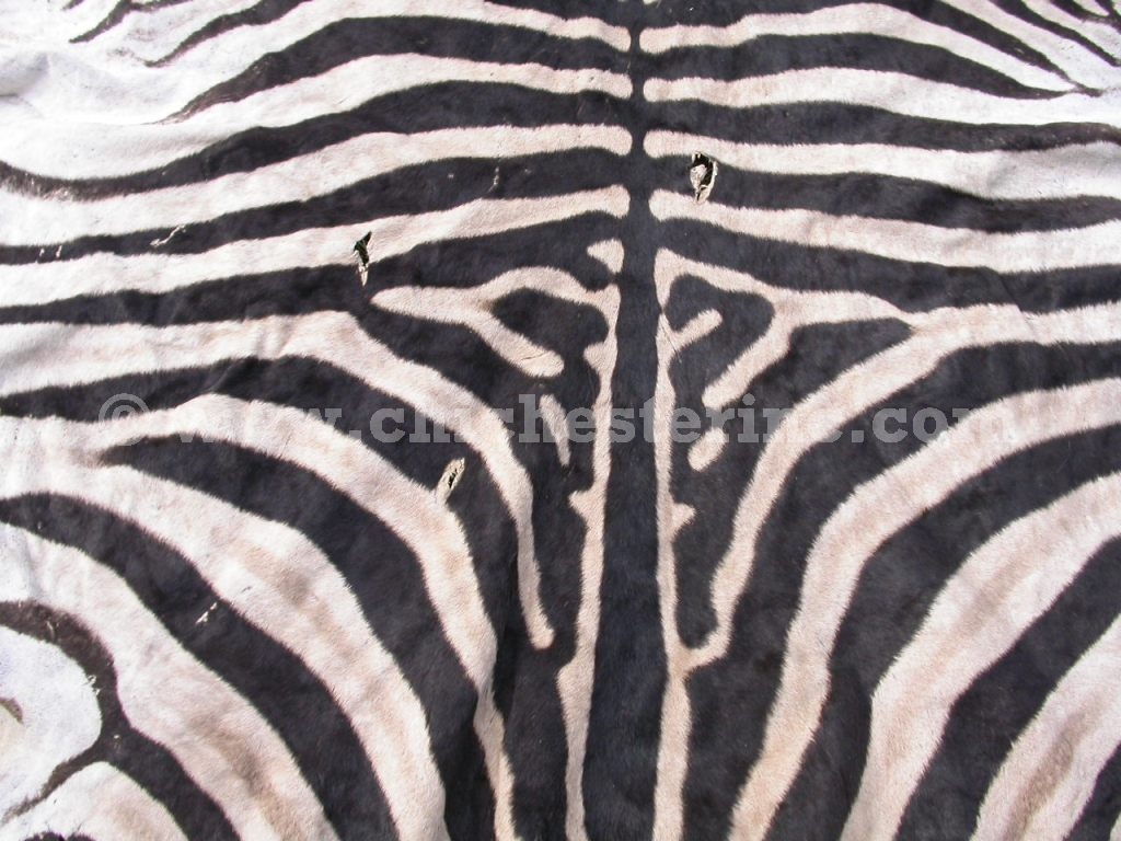 African Zebra Skins, Zebra Skins, Zebra Hides, Zebra Rugs