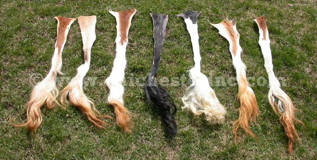 Cow Tails or Tanned Cow Tails