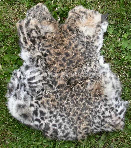 Stencilled or Printed Rabbit Skins Pelts Furs Hides in Various Animal