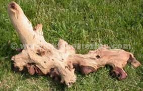 Driftwood