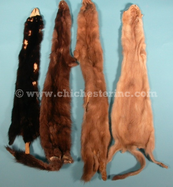 Mink Hides Or Pelts Fur, What Colors Do Mink Coats Come In