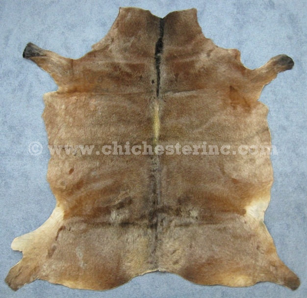Horse Hides And Hair On Horse Hides Horse Skins Horse Rugs