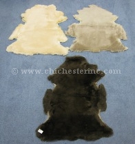 Australian Sheepskin Rugs and Australian Lambskin Rugs and Australian ...