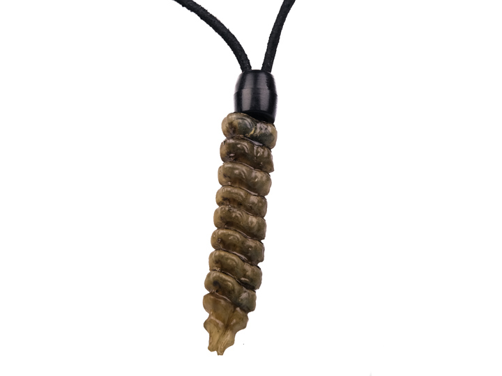 Rattlesnake Rattle Necklaces