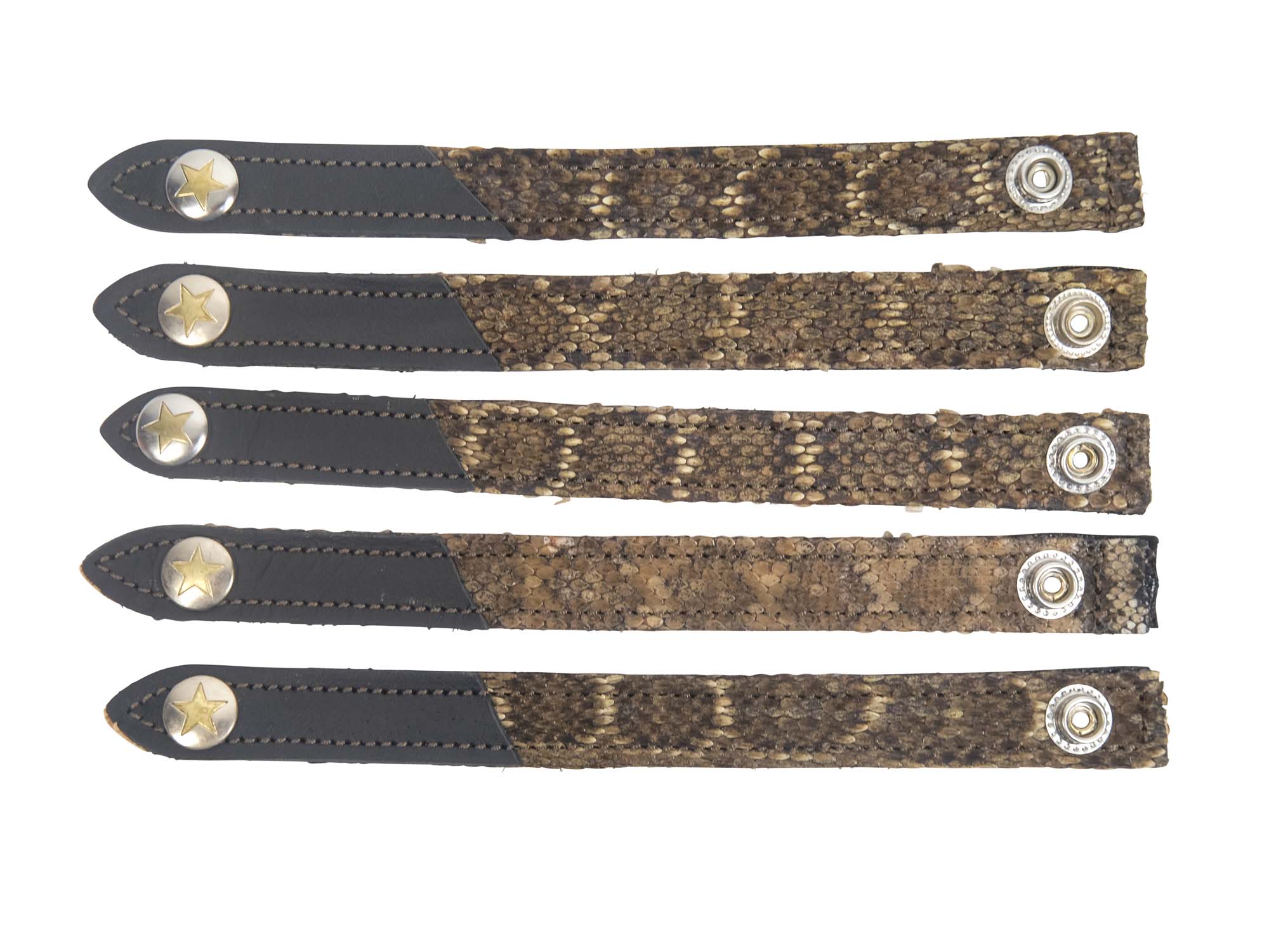 Rattlesnake Wrist Bands