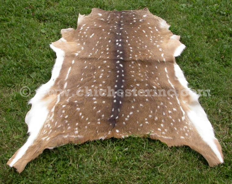 Axis Deer Skins Hides Pelts Furs or Chital Deer or Spotted Deer or Cheetal  Deer